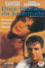 Doce Pássaro da Juventude