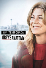 Greys Anatomy Decima Quinta Temporada